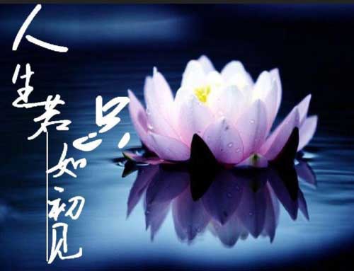 你我若只如初见下一句