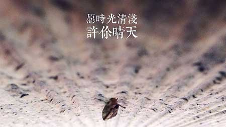 雨后便是晴天下一句