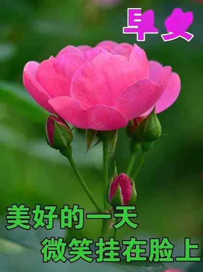 祝身体健康下一句