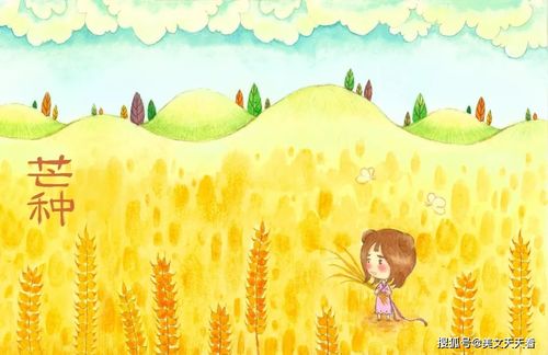 足蒸暑土气的下一句