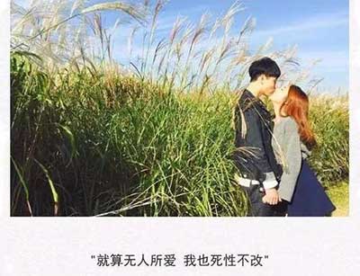 我们终将重逢下一句