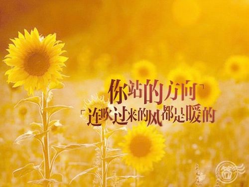 万千世界下一句