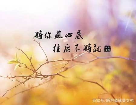 往事随风下一句