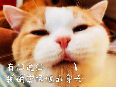 对你爱爱爱不完下一句