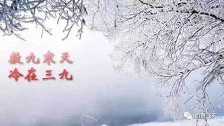 冷在三九下一句