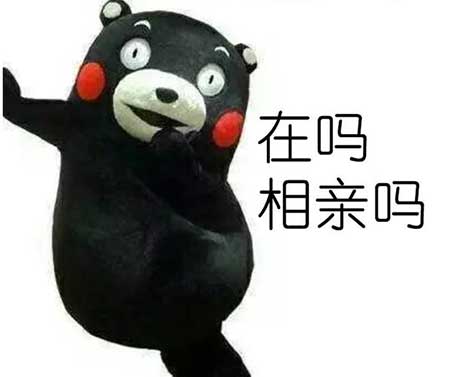 活久见下一句是什么