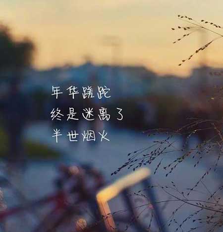 五味杂陈下一句