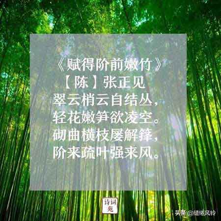 不要人夸颜色好的下一句是