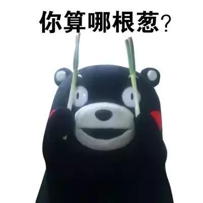 你算哪根葱怼人的下一句