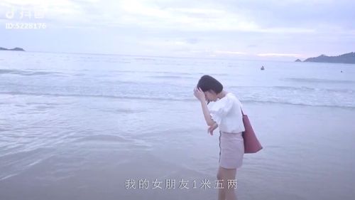 人生乏味下一句