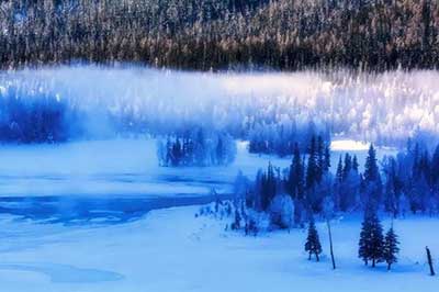 冬天如约而至的下一句美句