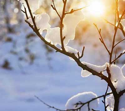 冬天如约而至的下一句美句