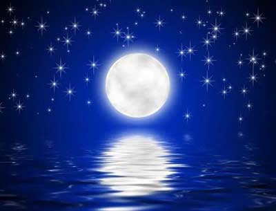 共看明月应垂泪的下一句