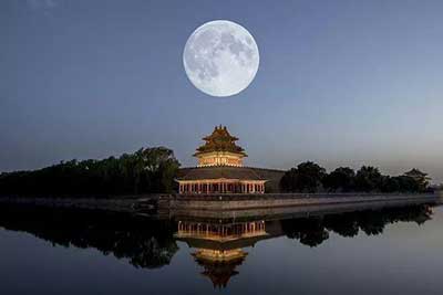 共看明月应垂泪的下一句