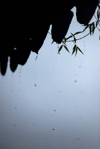 凭窗听雨下一句