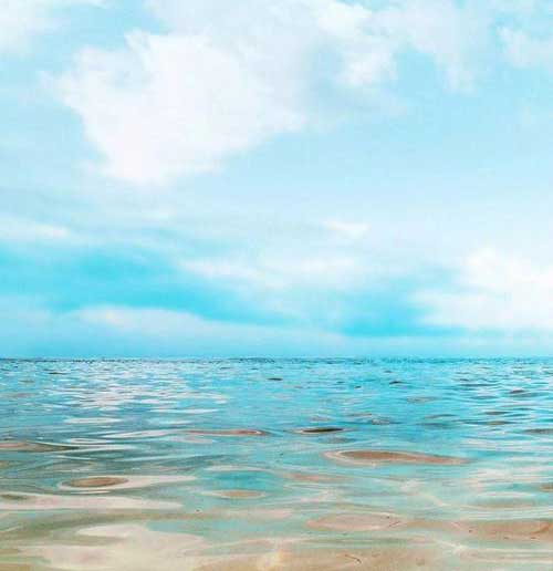 夏了夏天蓝了海下一句