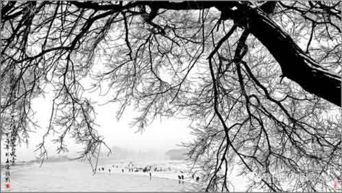 卧龙跃马终黄土下一句