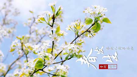 南浦春来绿一川下一句是什么