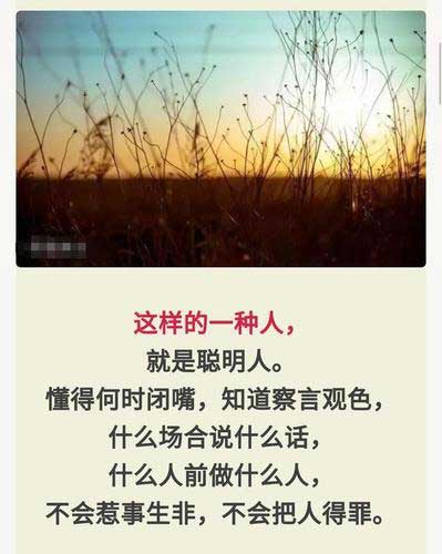 宁跟聪明人吵架下一句