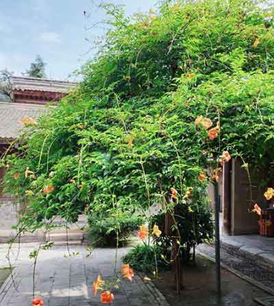 庭院深深深几许下一句