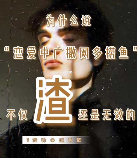 广撒网多捞鱼下一句