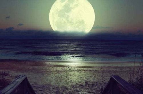 明月几时有下一句是