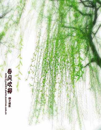 春风吹杨柳下一句