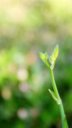 小雨晨光内下一句