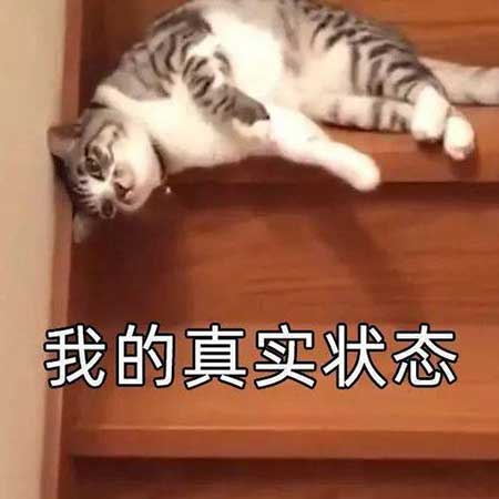 差点没给我送走下一句