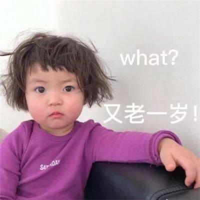 我的小可爱下一句