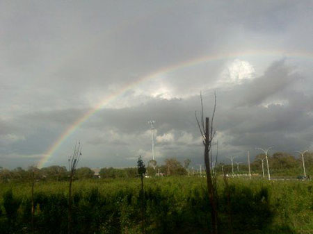 赤橙黄绿青蓝紫下一句