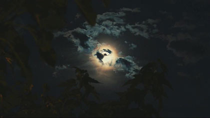 月黑风高下一句