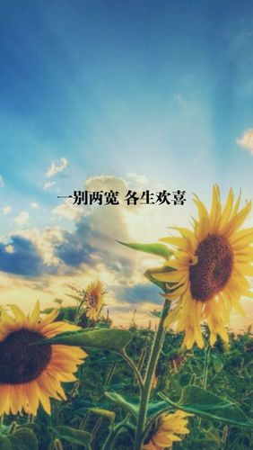 没有伤害下一句是什么