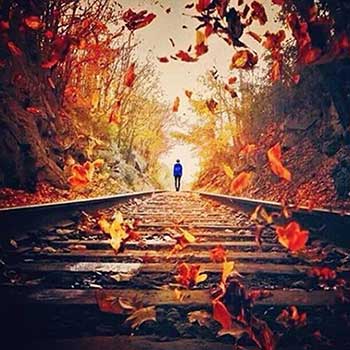 遗憾是人生常态下一句事例