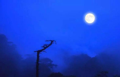 月是故乡圆的下一句