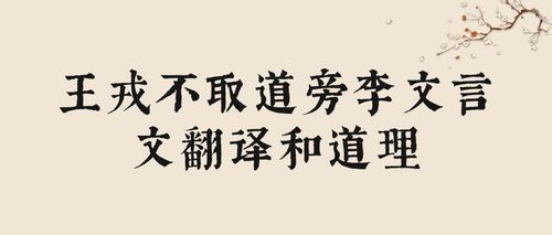 见微知著下一句