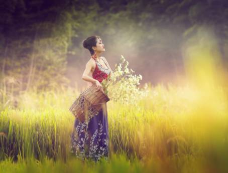 相逢即是缘下一句