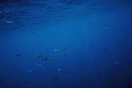 美不美一盆水下一句