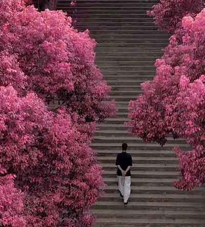 甚是欢喜下一句