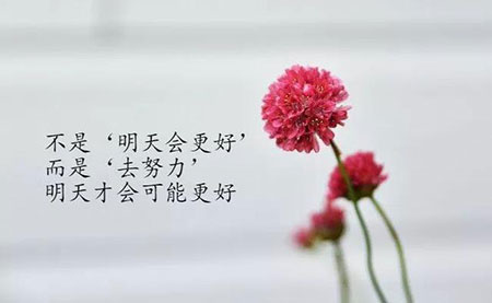 过程是痛苦的下一句话