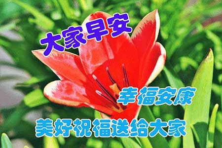 心情好身体好运气就好下一句