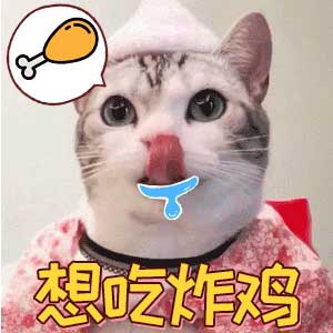 吃货一枚的下一句