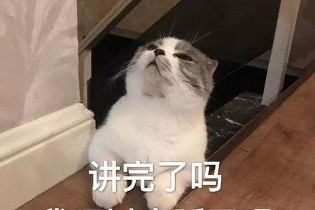 你算哪块小饼干下一句