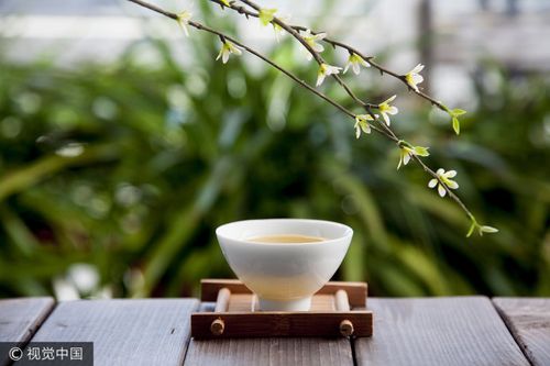 心静自然凉下一句搞笑