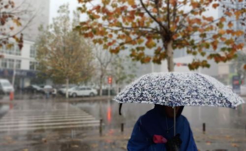 几点雪花几点雨的下一句