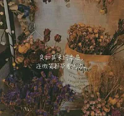 强颜欢笑下一句是什么