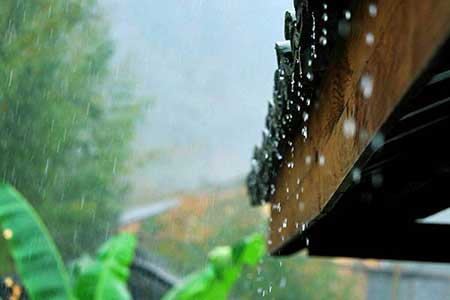 岁月无情人有情下一句