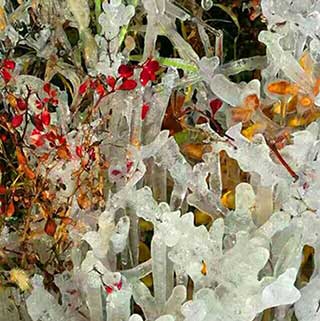 冰是睡着的水下一句