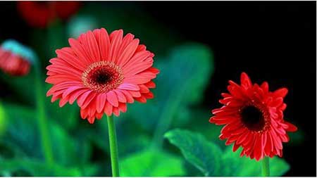 因缘际会下一句是什么