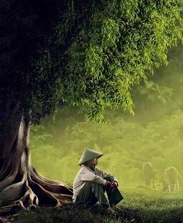 回首往事下一句